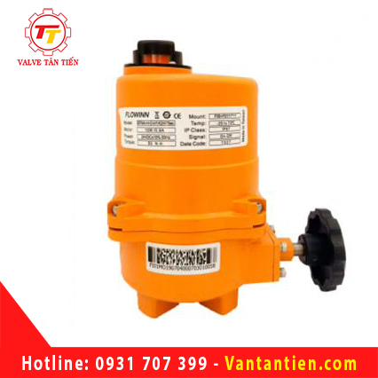 VAN ELECTRIC ACTUATOR FLOWINN EFM1 / A / B- (H)